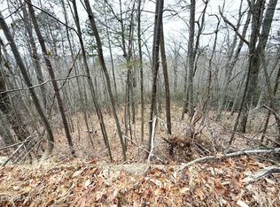 1.01 Ac Green Forest Rd, Cosby, TN 37722