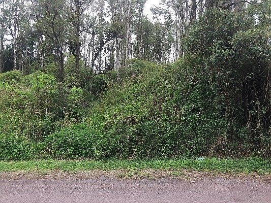 2nd image of Coral Dr