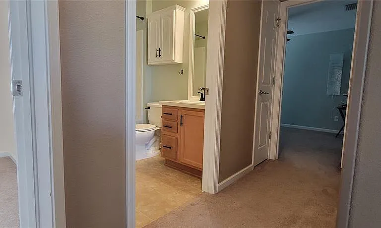 1109 China Aster Way — Photo 31