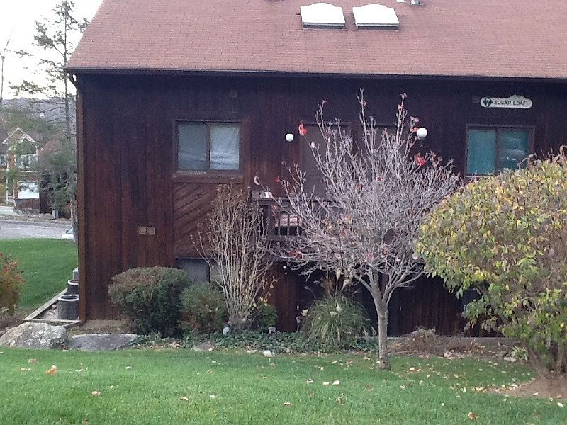 1st image of 7 Sugar Loaf Ct Unit 1