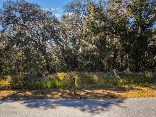 Silver Springs Shrs Lot 16, Ocala, FL 34472