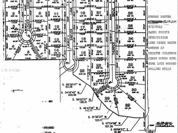 6228 E Thumper Dr, Oakley, IL 62501