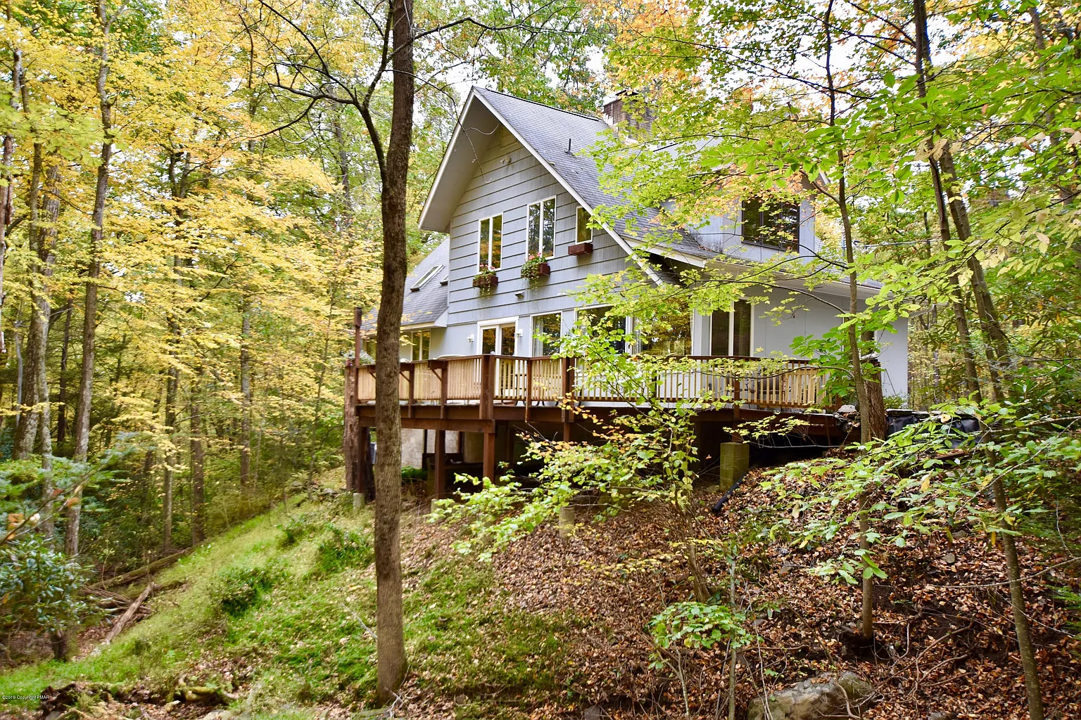 111 Maple Dr photo 1