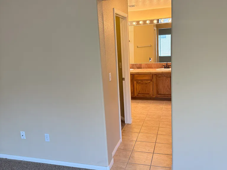10633 Chestnut Timber Ct — Photo 8