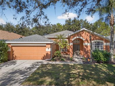 19156 Dove Creek Dr, Tampa, FL, 33647