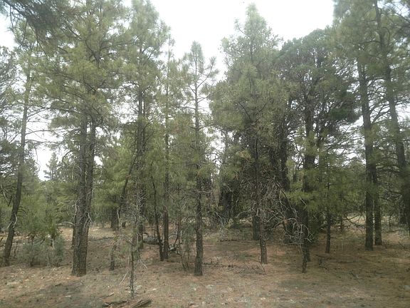 4th image of 6494 Mogollon Trl