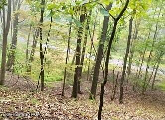 3rd image of LOT 11 Autumn Ct