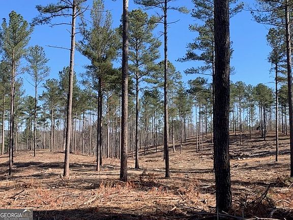 2nd image of 0 Mount Sinai Rd