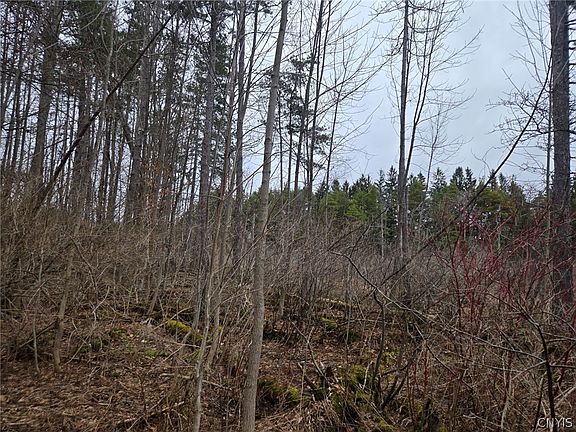 3rd image of Hardys Rd