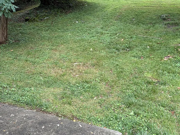 126 Sycamore Dr #126 — Photo 35