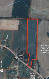 0 Feathers Chapel Dr, Somerville, TN, 38068