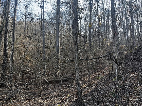 2nd image of 144 Laurel Lake Cir Lot 144