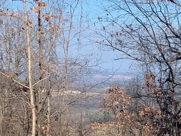 001-04716 Blueberry Ln #0, Yellville, AR 72687