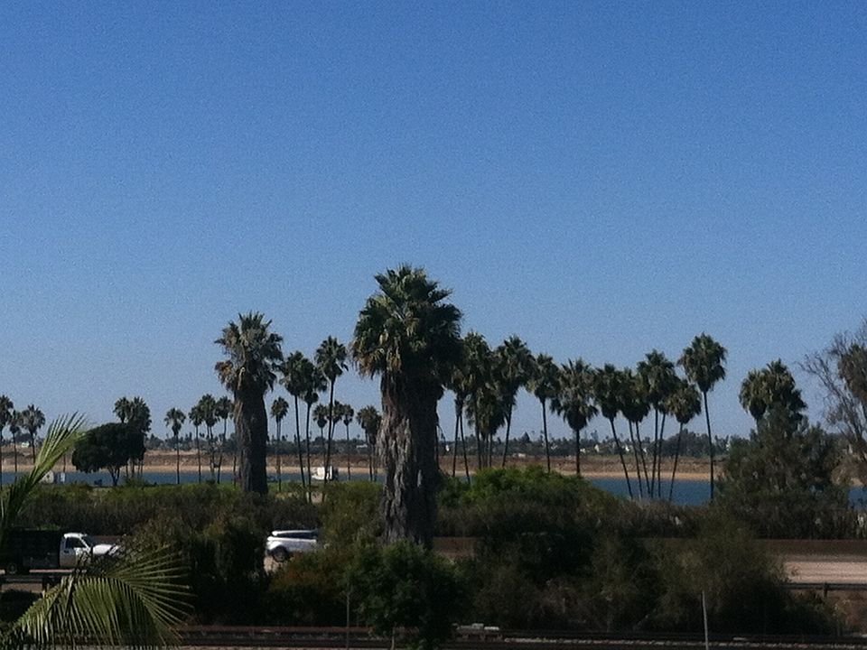 This is what you see everyday