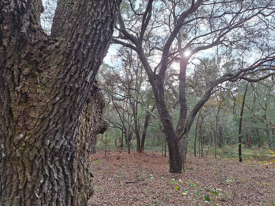 2nd image of 00 SE 73rd Pl