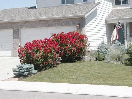 2nd image of 602 Sedgwick Dr
