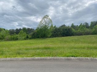 115 Hughes Rd, Greenback, TN 37742