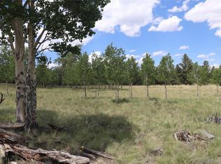 2178 Pitchfork Rd #1256, Hartsel, CO 80449