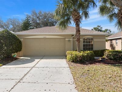 10833 Collar Dr, San Antonio, FL, 33576