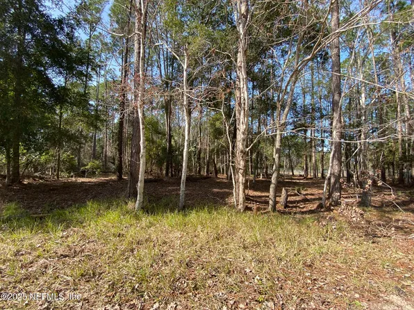 109 DOLPHIN Drive, Georgetown, FL 32139