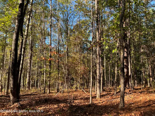 LOT 15 Buckview Ln, Dadeville, AL 36853