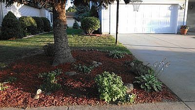 Garden Bed