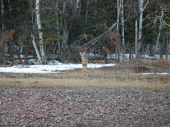 2nd image of Xxxx E Highway 61