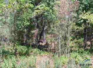 CR 2338 #18, Pittsburg, TX 75686