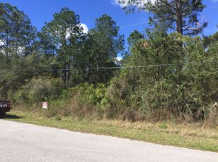Corl Vine, Wesley Chapel, FL 33544