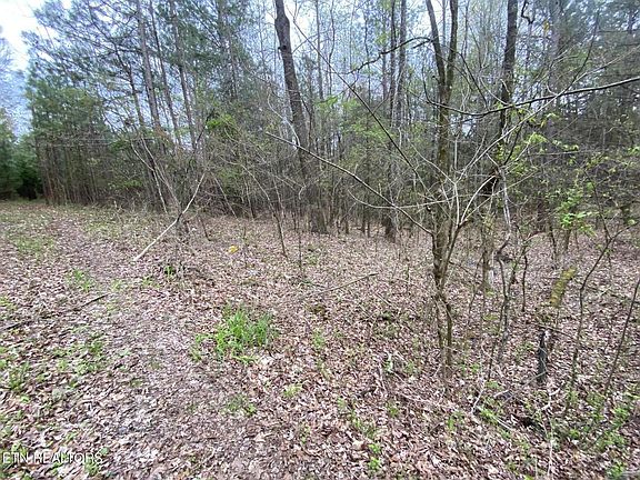 4th image of 357 County Road 669