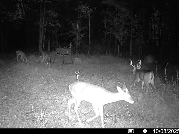 2nd image of 0 Jasper Rd