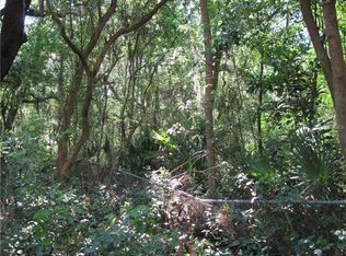 3901 Glen Ave, Mount Dora, FL 32757