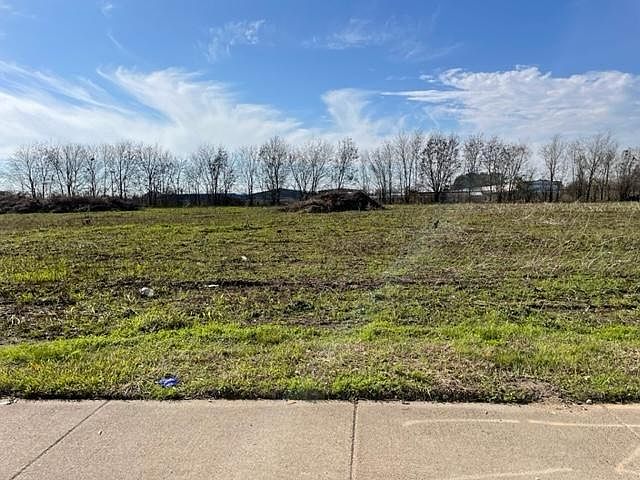 2nd image of 0 Bissonnet St