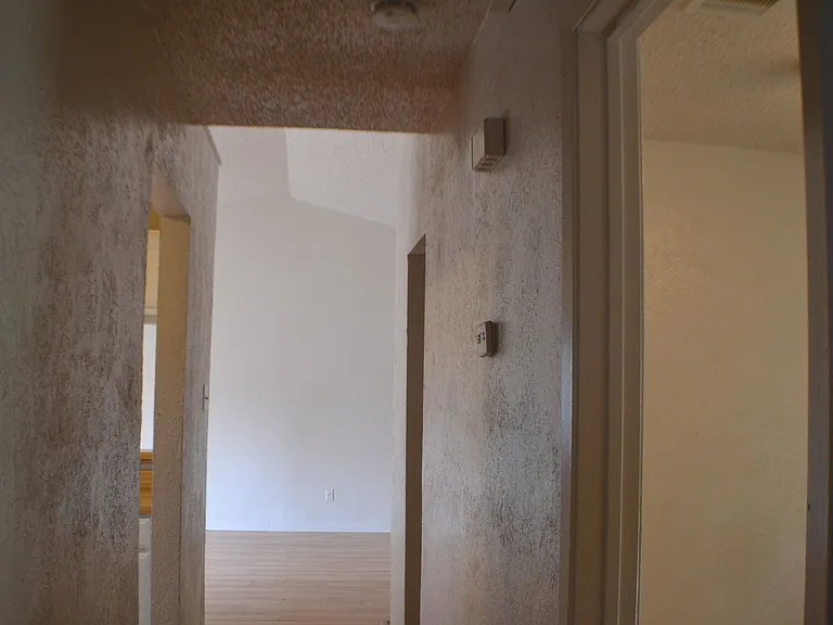 1520 Pebblewood Dr — Photo 14