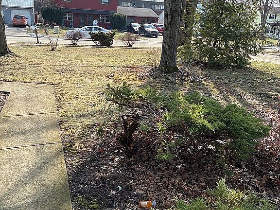 4th image of 1728 Urban Cir