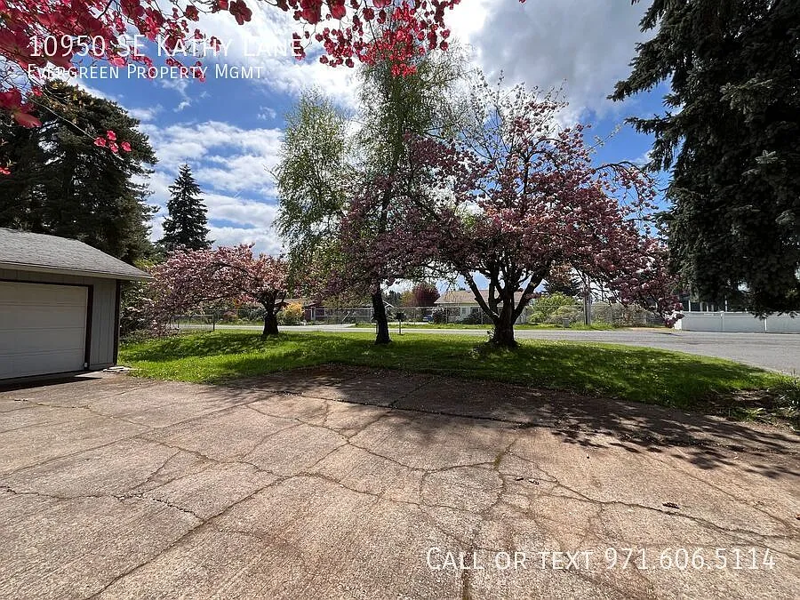 Big Yard 3BD/1BA Cozy Home! $2,595/mo — Photo 3