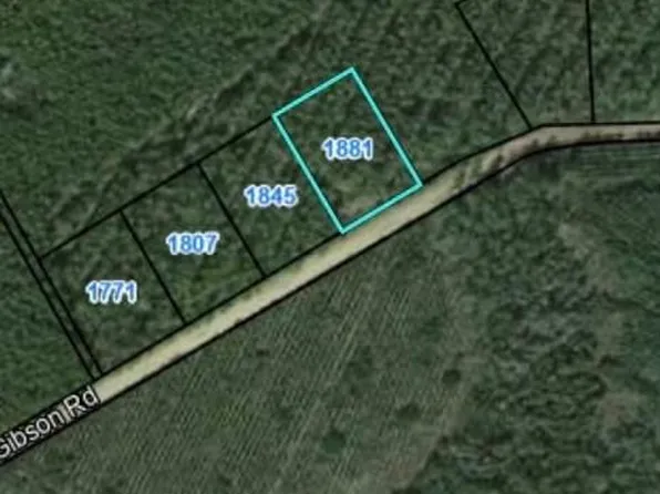 1881 Albert Gibson Rd, Baxley, GA 31513