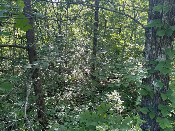 22 Sandstone Point Trl, Monticello, KY 42633