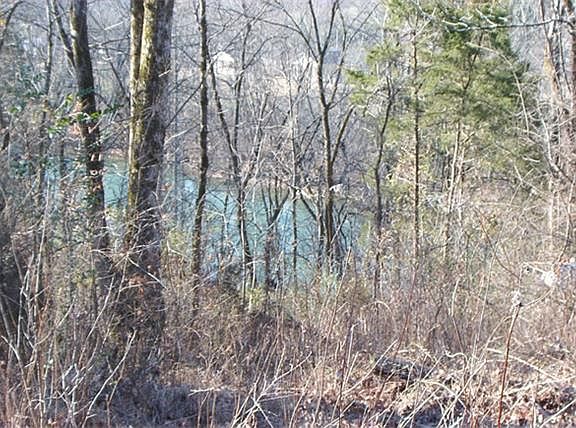5th image of 0 Obey River Ln