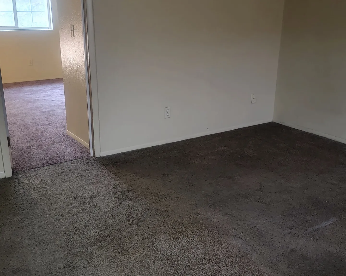1 bed, 800 sqft, $850 — Photo 3
