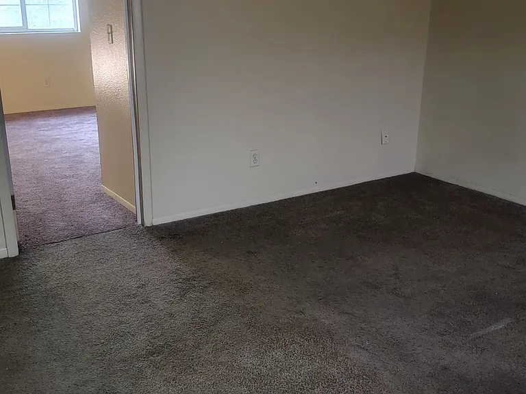 2412 Olive St #8 — Photo 3
