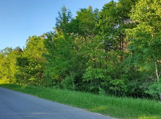 Nhn N Jones Rd, Howard City, MI 49329