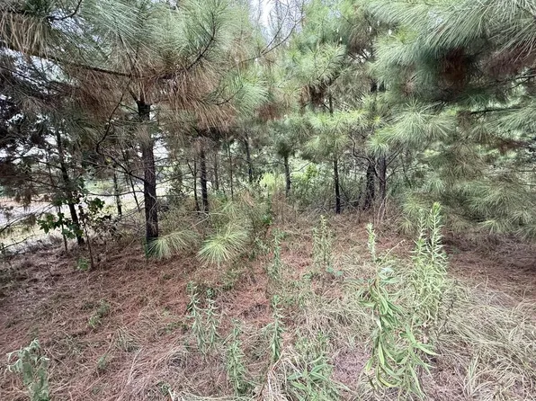 LOT 134 Leeward Ln, Hemphill, TX 75948