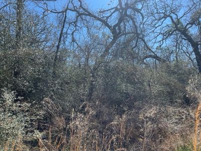 County Road 317, Centerville, TX, 75833
