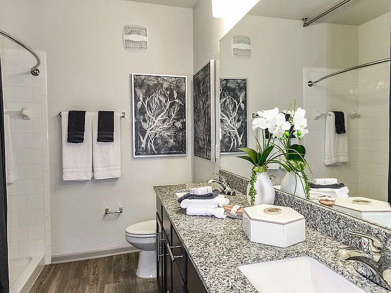 Dunedin Commons Apartments — Photo 10