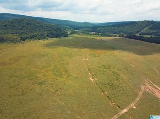 509 State Highway 39, Oneonta, AL 35121