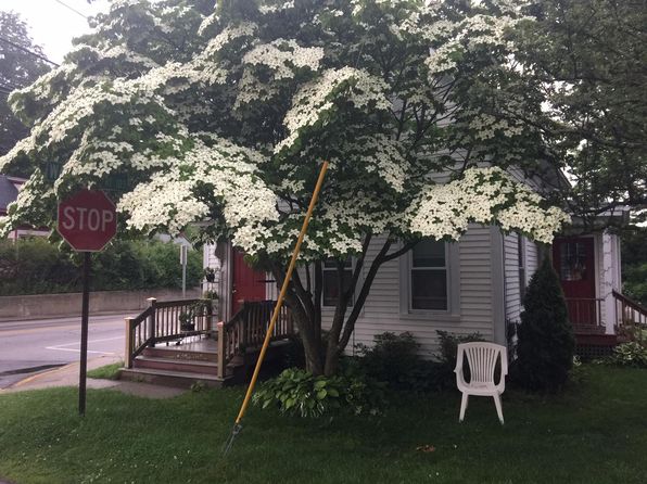 10 Otis Ave #2