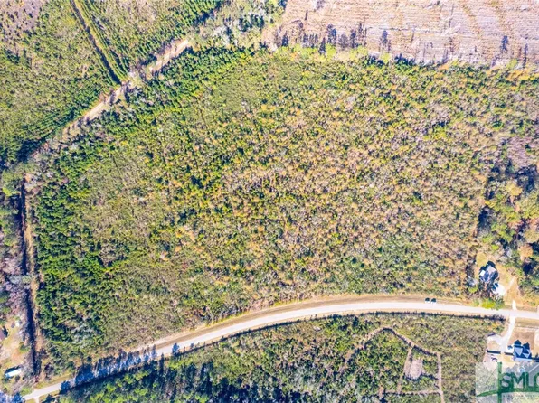 0 Charles Shuman Road, Ellabell, GA 31308
