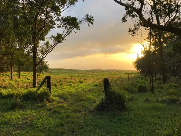 95-3970 Halemauna Rd, Naalehu, HI 96772