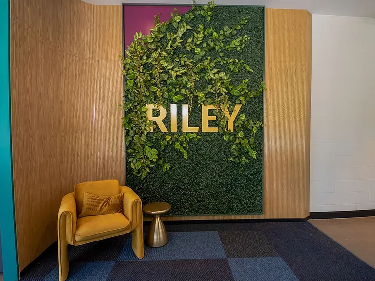 Riley — Photo 25